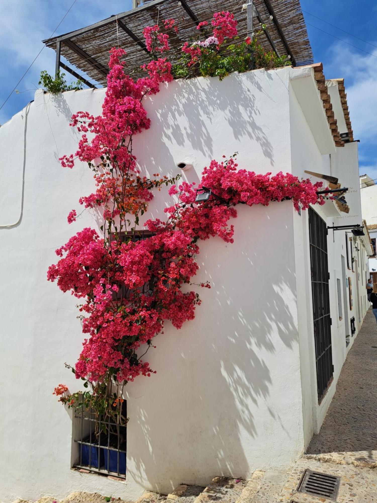 Atico Roof Top Torrevieja Exterior photo