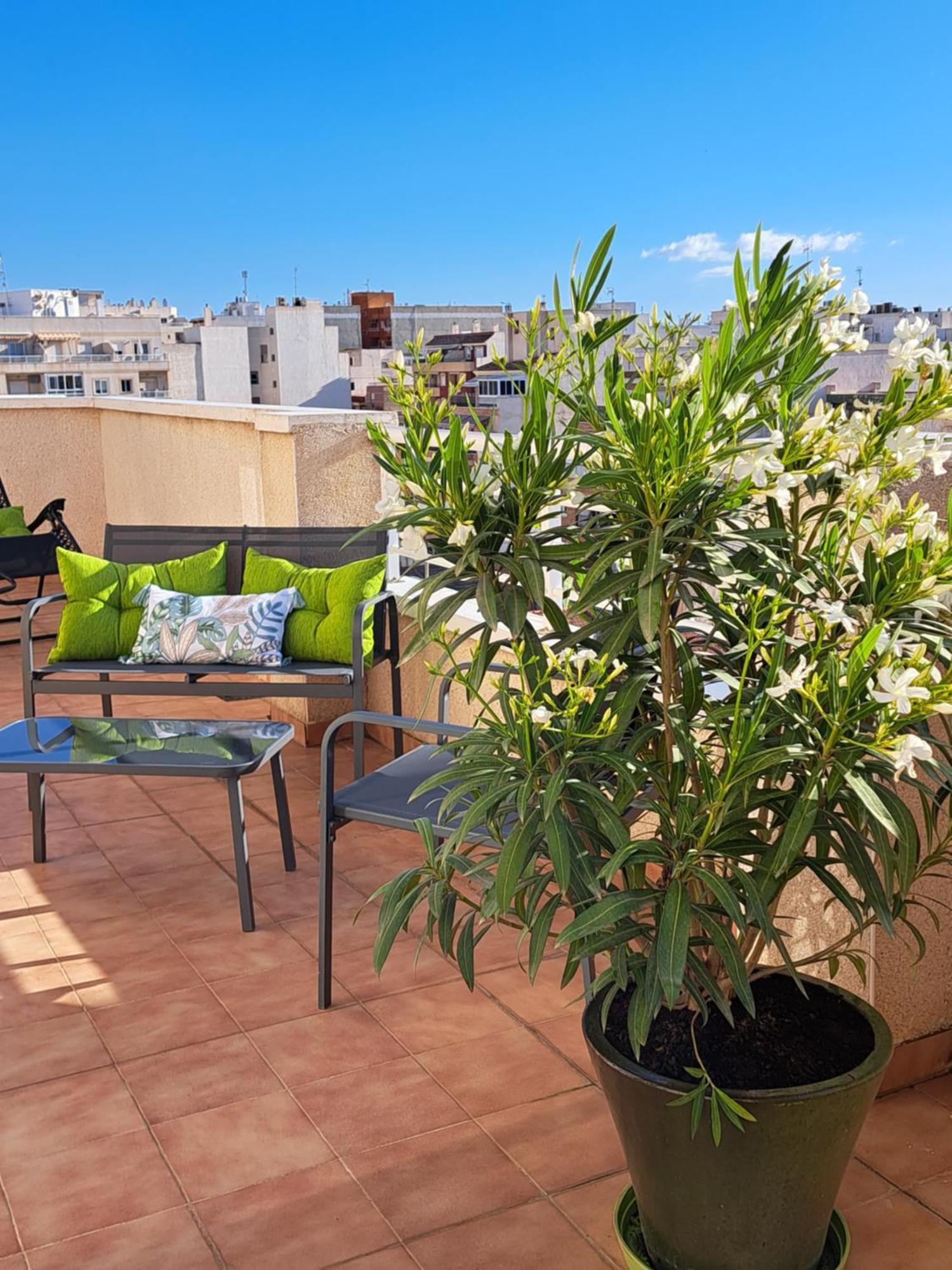 Atico Roof Top Torrevieja Exterior photo